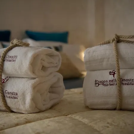Bio Bacco Nella Gnostra 3* Altamura