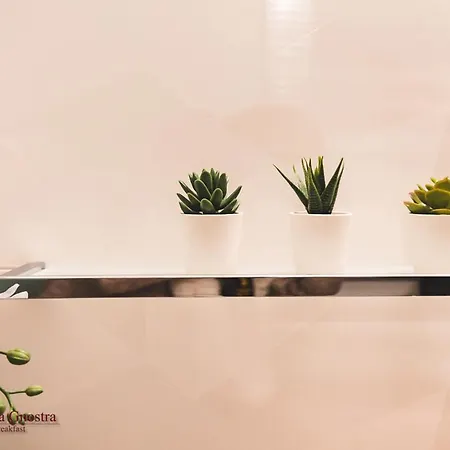 Hotel Bio Bacco Nella Gnostra Altamura