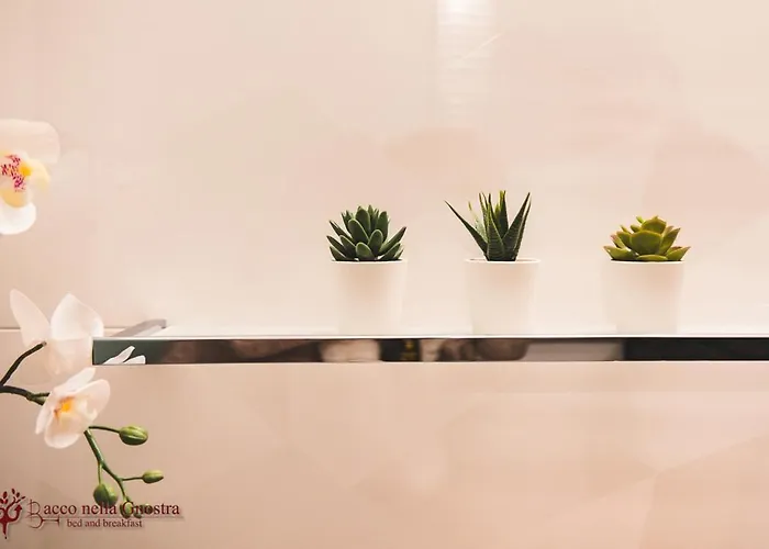 Hotel Bio Bacco Nella Gnostra Altamura